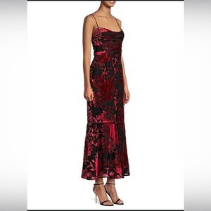 NWT Hutch Tylia Ruched Velvet Burnout Bouquet Maxi Dress